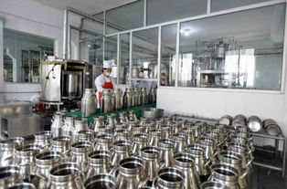 金正恩視察平壤兒童食品廠，鼓勵打造世界領先工廠